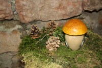 Funghi Porcini in polvere (100g) confezionati in vasi di vetro