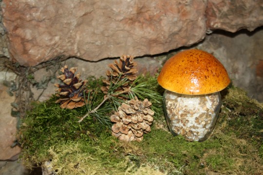 Rice and porcini mushrooms in glass jar (180 g)
