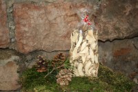 Funghi misti 200g