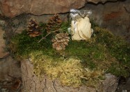 Funghi Porcini SPECIALI 20g