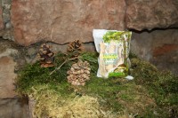 Funghi Porcini COMMERCIALI 20g