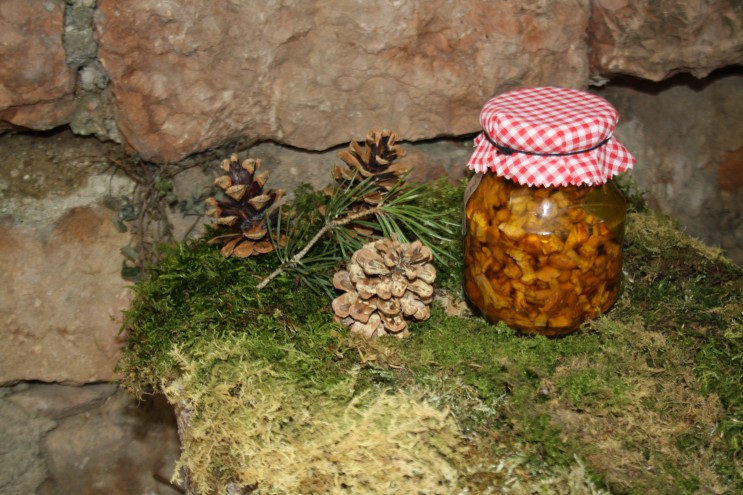 Funghi Gialletti-Finferli in olio d'oliva 580 ml
