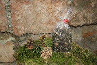Trombette dei morti g 80