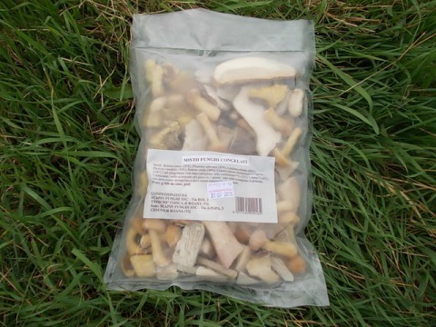 Mixed Frozen Mushrooms gr. 500 / lb. 1,1 - ONLY OFFLINE STORE
