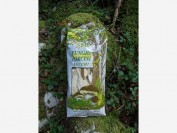 Funghi Porcini COMMERCIALI 500g