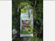 Chopped Porcini  Gr. 500 / oz. 17,6