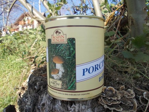 Porcini Mushrooms flavored 850 ml