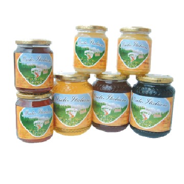 Dandelion (tarassaco) honey 500 gr